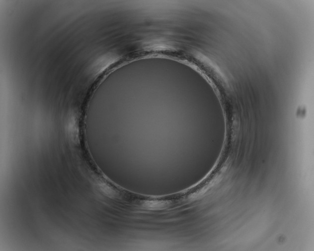 X0000102841305200808181338
