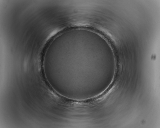 X0000102841306200808181338