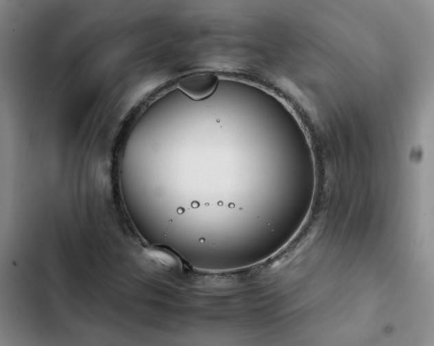 X0000102841307200808181338