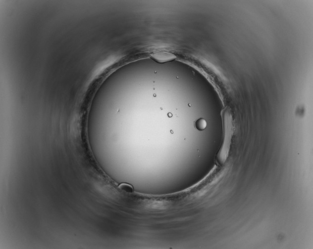 X0000102841309200808181338