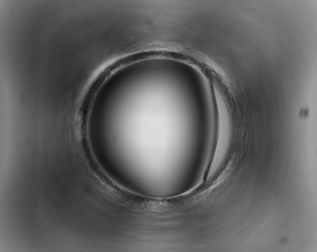 X0000102841310200808181338