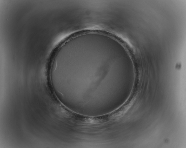 X0000102841311200808181338