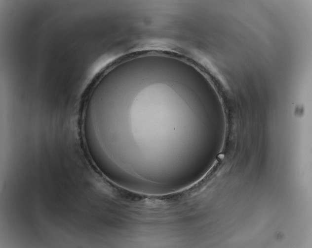 X0000102841312200808181338