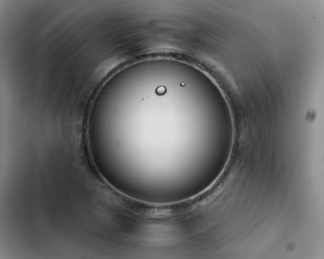 X0000102841313200808181338