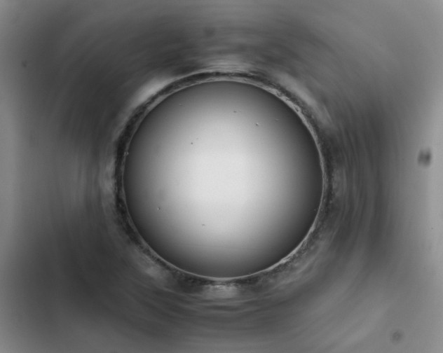 X0000102841315200808181338