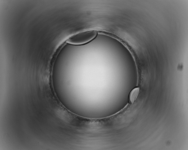 X0000102841316200808181338