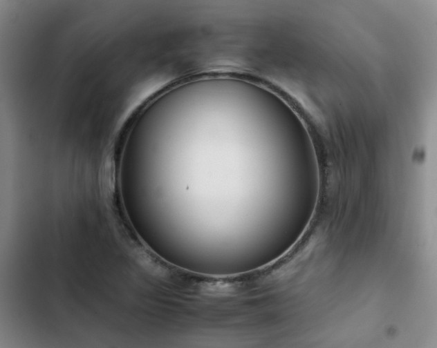 X0000102841317200808181338