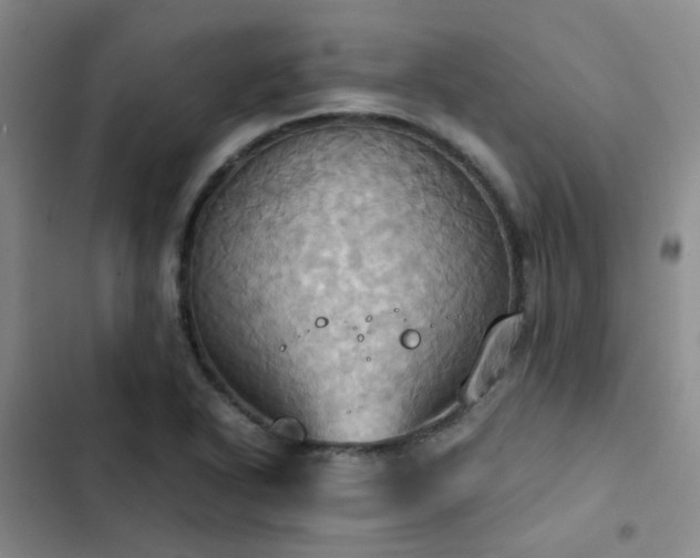X0000102841318200808181338