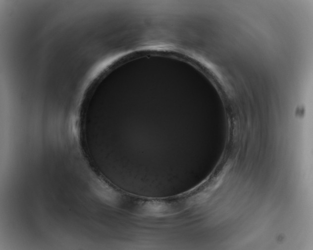 X0000102841319200808181338