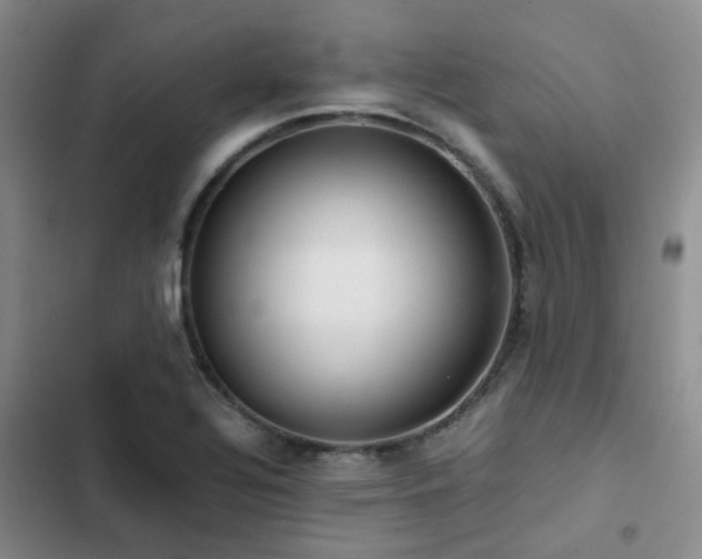 X0000102841320200808181338