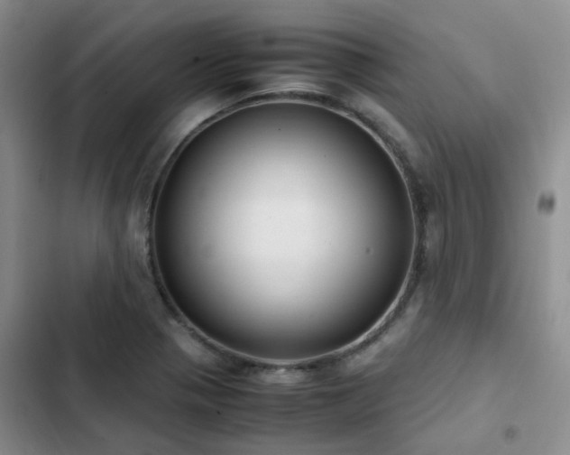 X0000102841321200808181338