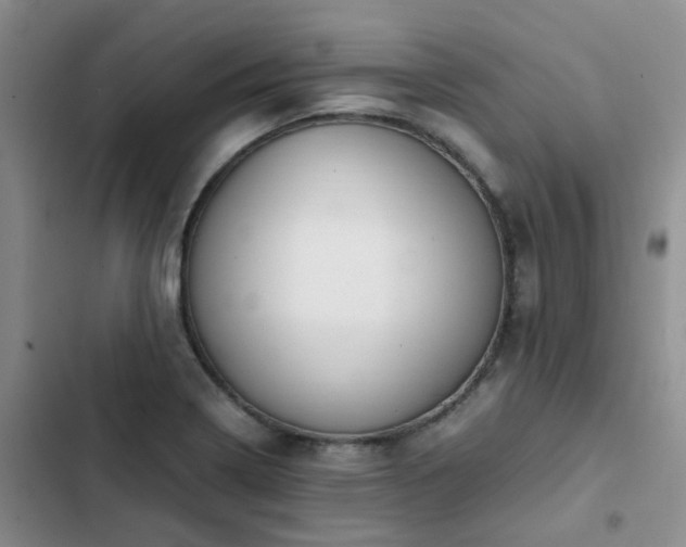 X0000102841322200808181338