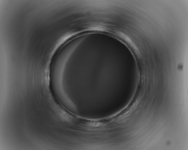 X0000102841323200808181338