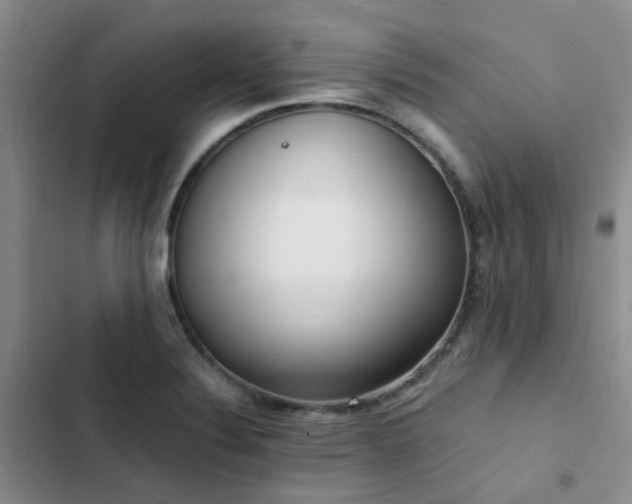X0000102841324200808181338
