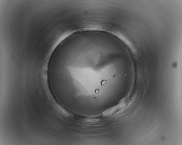 X0000102841325200808181338