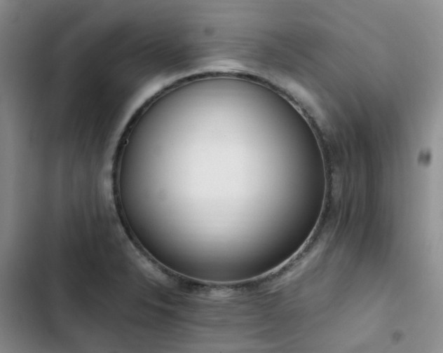 X0000102841326200808181338
