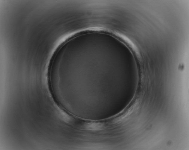 X0000102841327200808181338