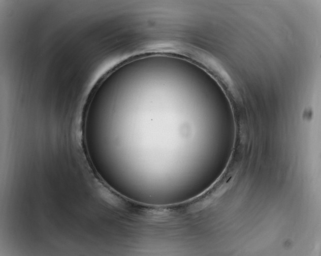 X0000102841328200808181338