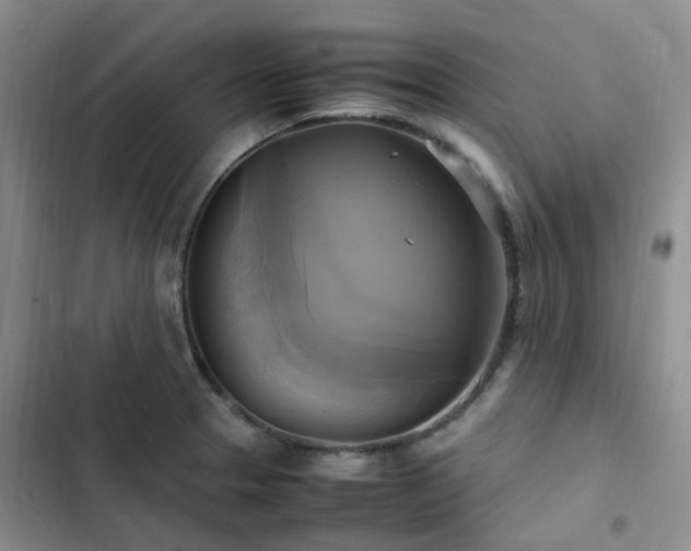 X0000102841329200808181338