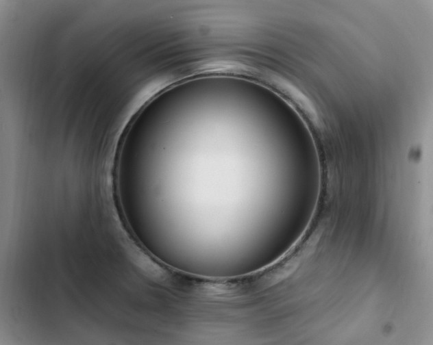 X0000102841330200808181338