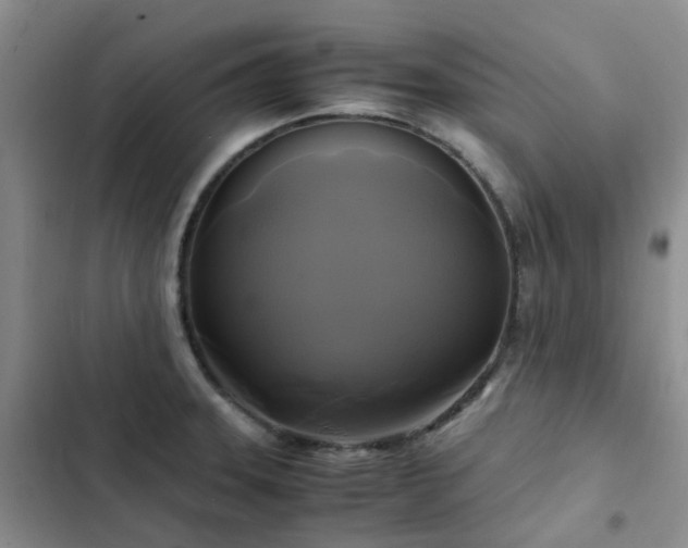 X0000102841331200808181338