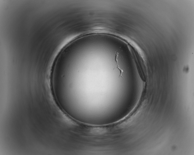 X0000102841333200808181338