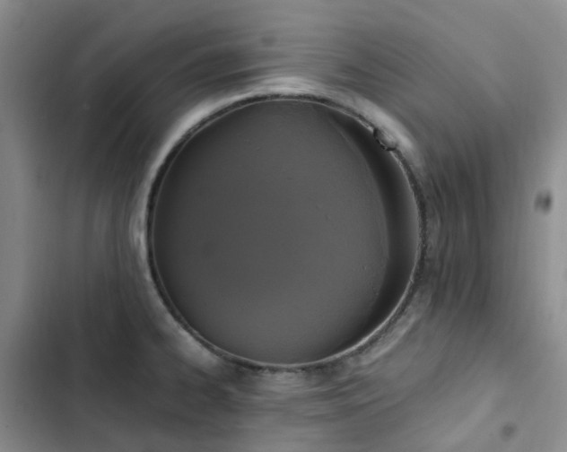 X0000102841334200808181338