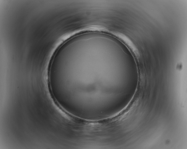 X0000102841335200808181338