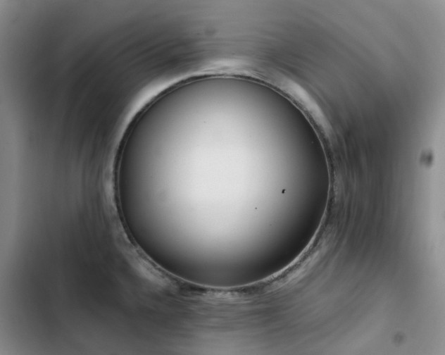 X0000102841336200808181339