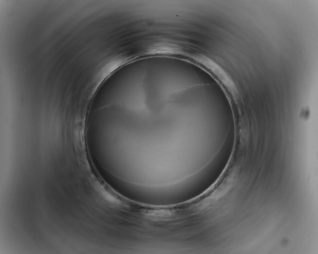 X0000102841337200808181339