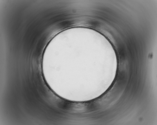 X0000102841338200808181339