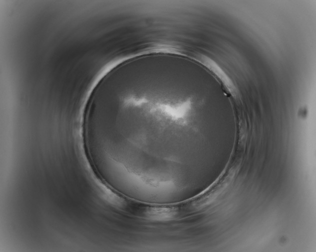 X0000102841339200808181339