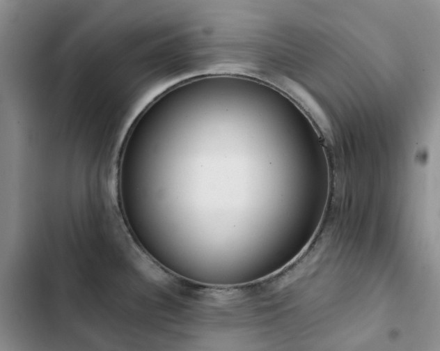 X0000102841340200808181339