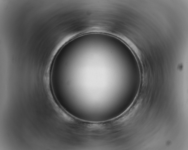 X0000102841341200808181339