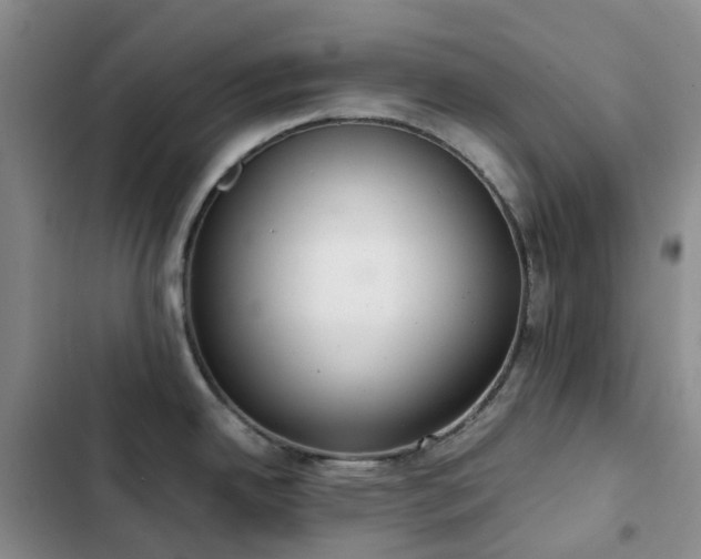 X0000102841342200808181339