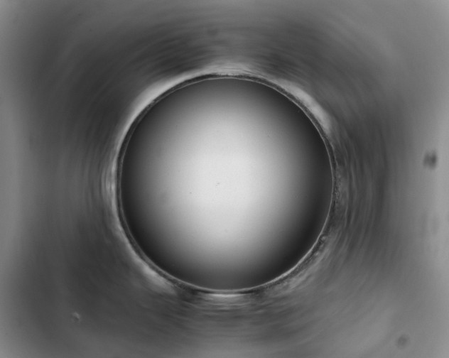 X0000102841343200808181339