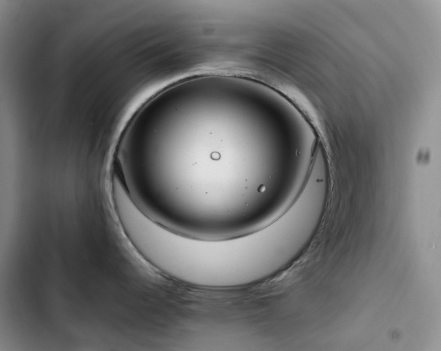 X0000102841344200808181339