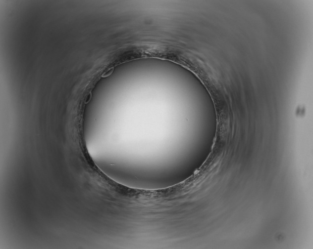 X0000102841345200808181338