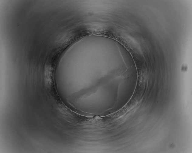 X0000102841346200808181338