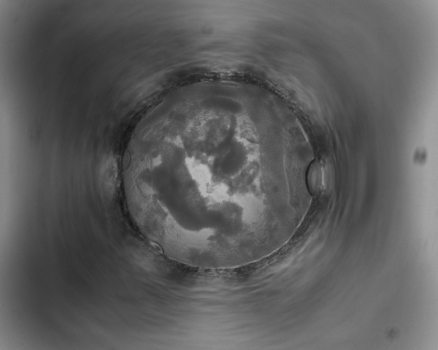 X0000102841347200808181338