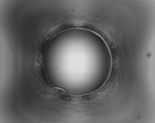 X0000102841349200808181338