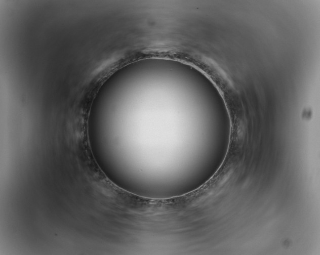 X0000102841350200808181338