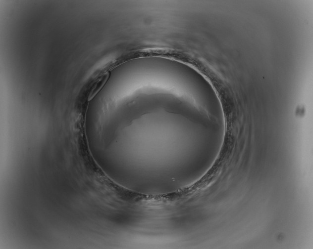 X0000102841351200808181338