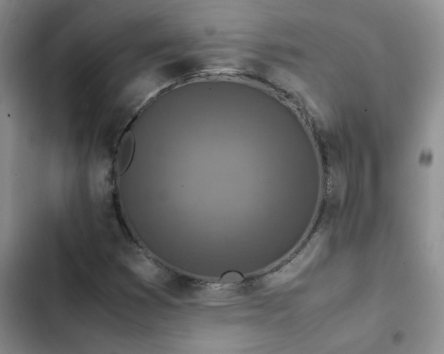 X0000102841353200808181338