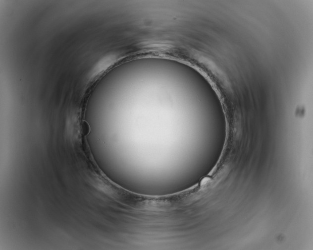 X0000102841354200808181338