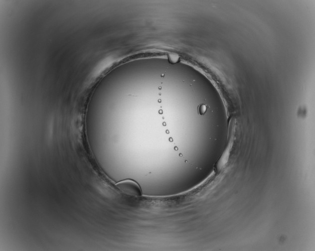 X0000102841355200808181338