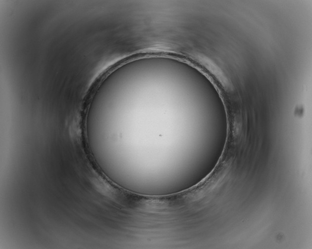 X0000102841356200808181338