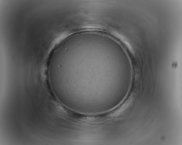 X0000102841357200808181338