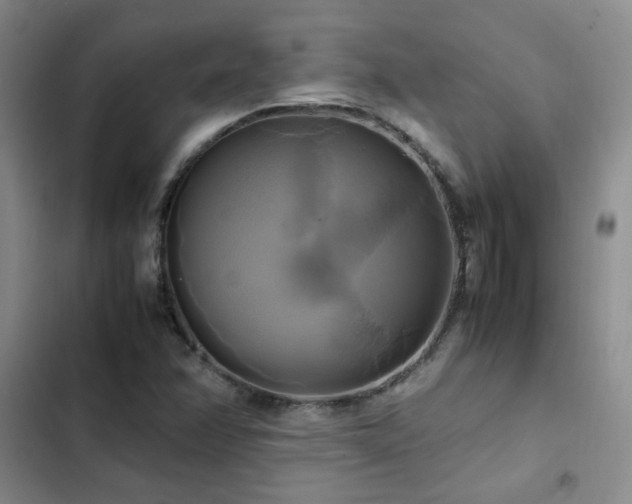 X0000102841358200808181338