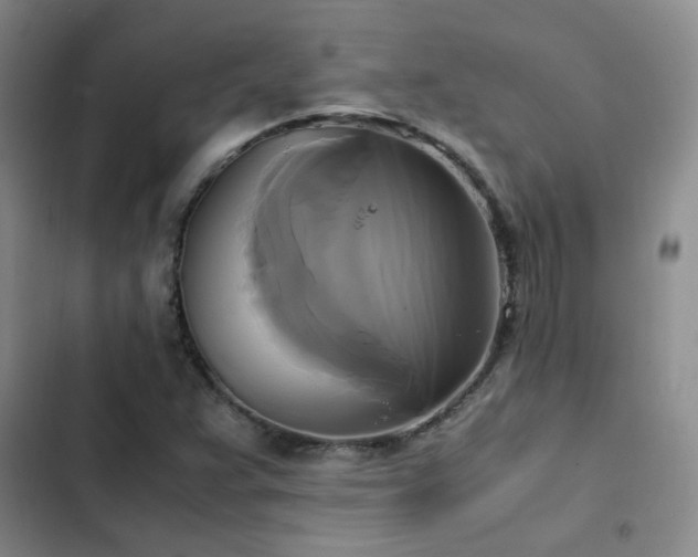 X0000102841359200808181338